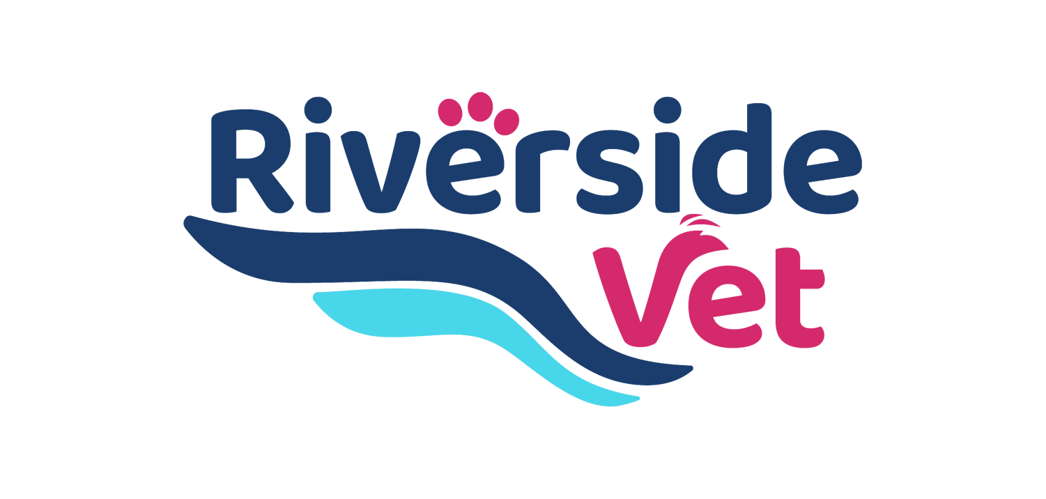 Clinic-Riverside-Updated Riverside Park Vet