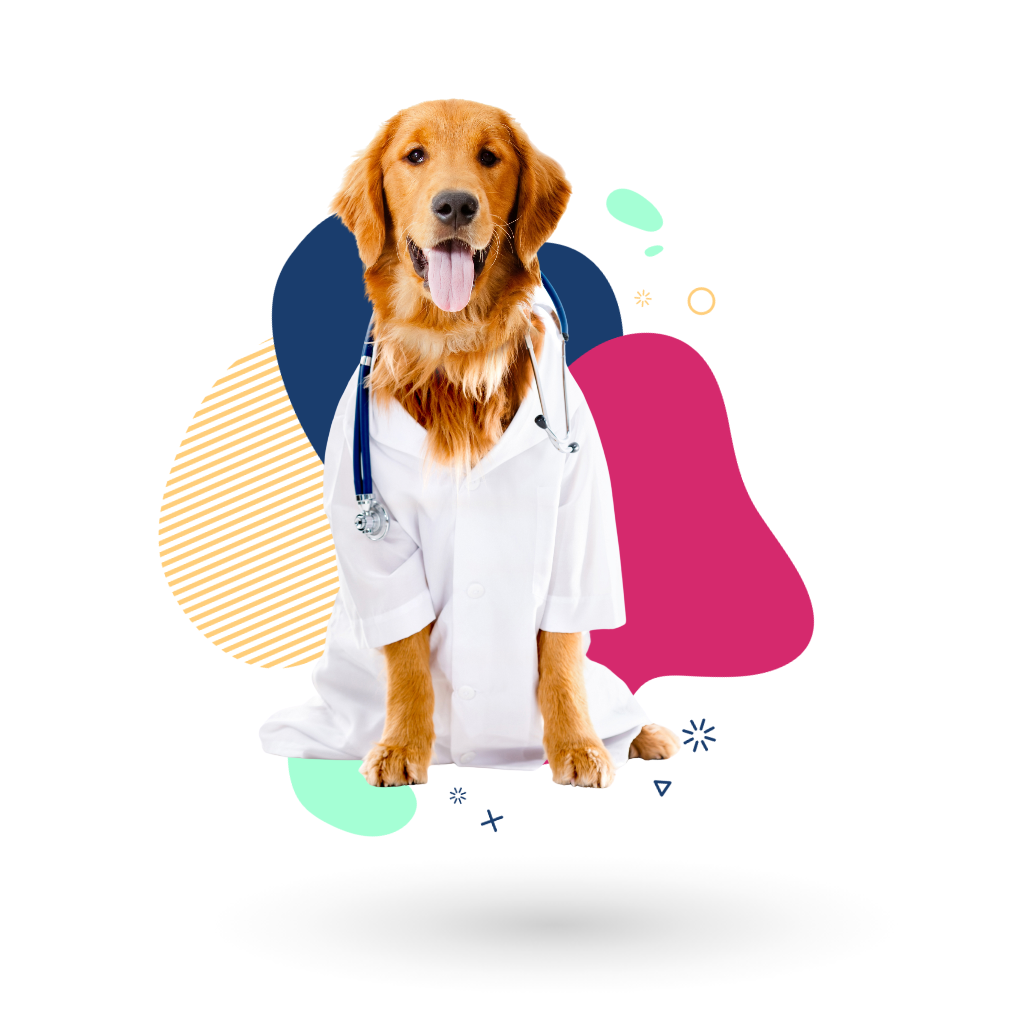 dog wearing lab coat