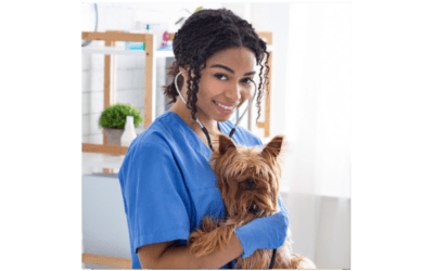 Top Ten Reasons To Become A Veterinarian