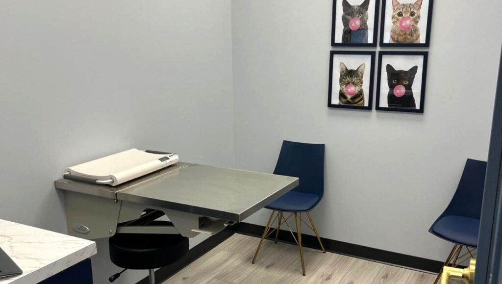 Clinics Building The Best Vet Practices With AcharaVet