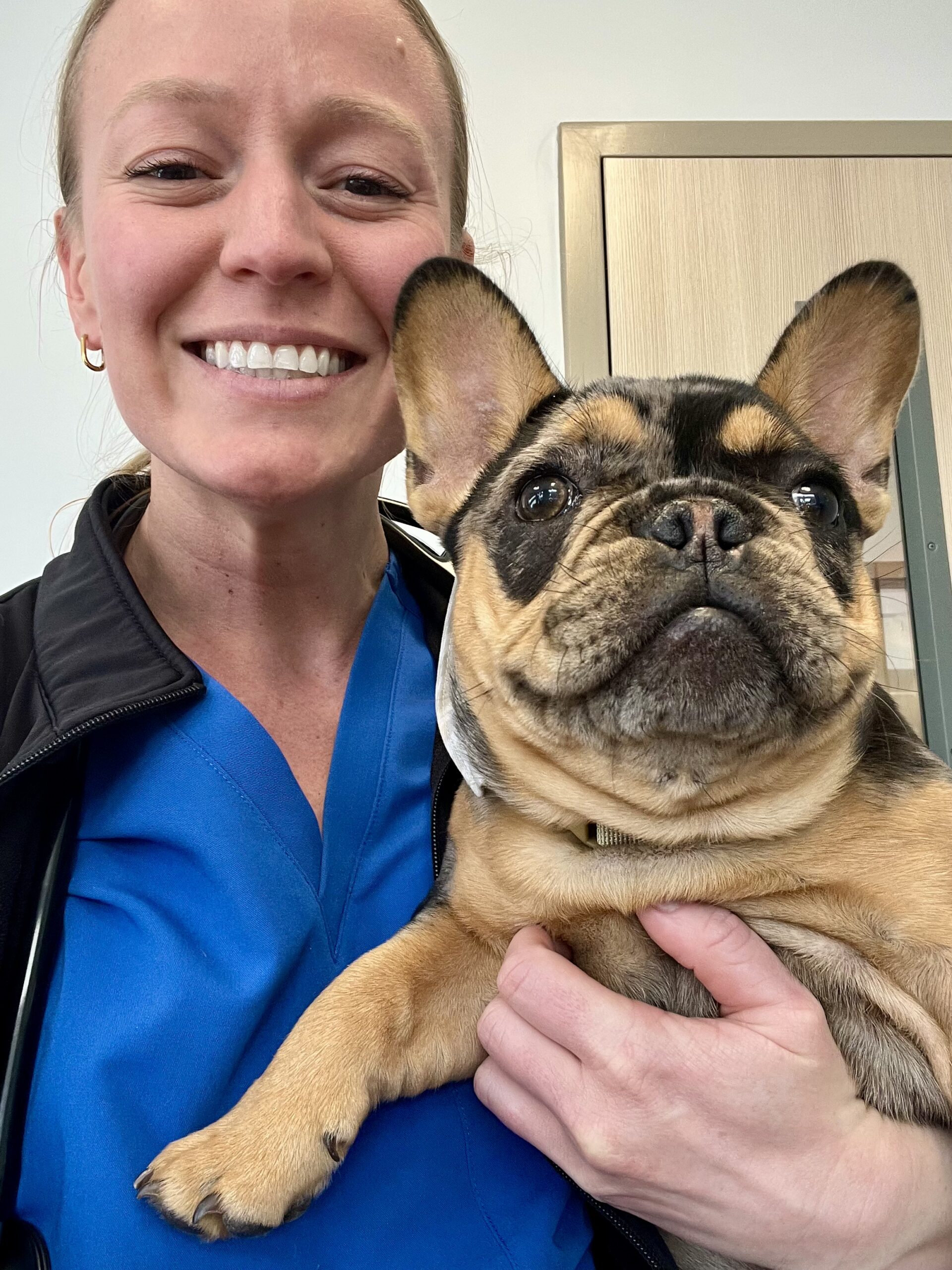 South Lake Vet 