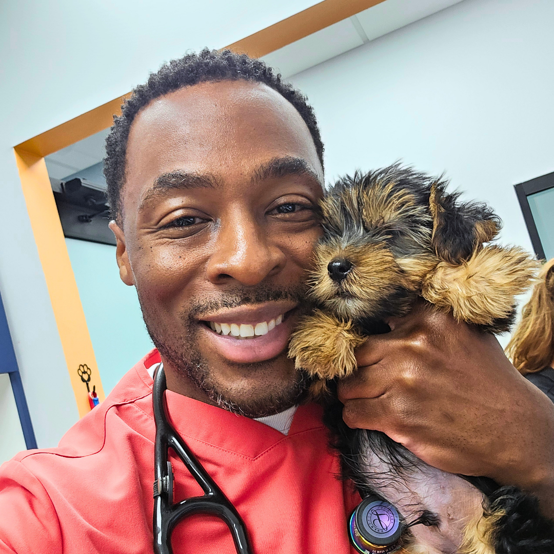 Mauldin Station Vet