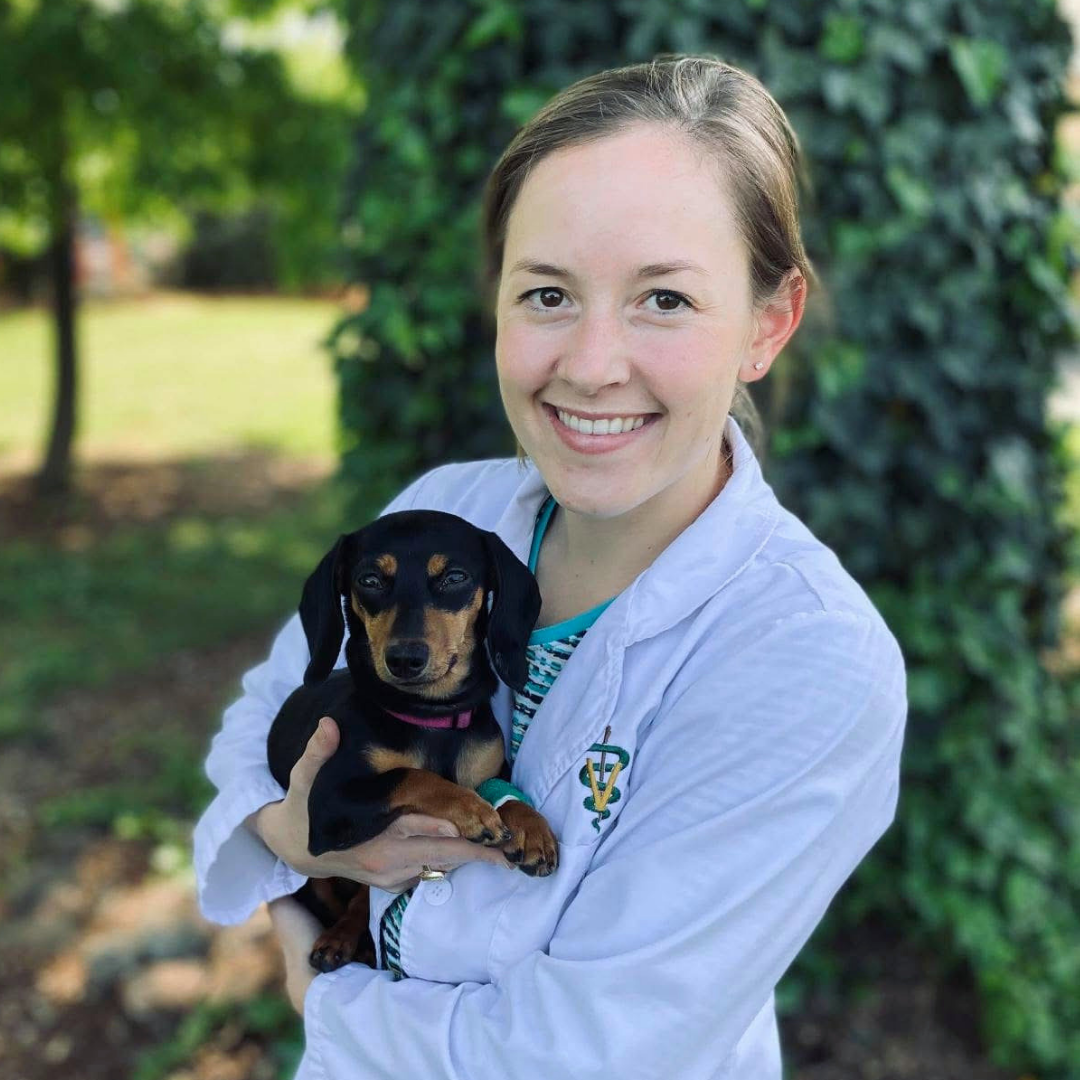 Anderson Vet in Anderson, SC
